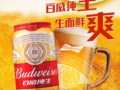 百威啤酒经典纯生330ml*24听整箱装